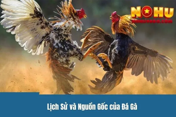 Đá Gà Mạng - Lịch Sử Phát Triển Và Tầm Quan Trọng Của Môn Thể Thao Này
