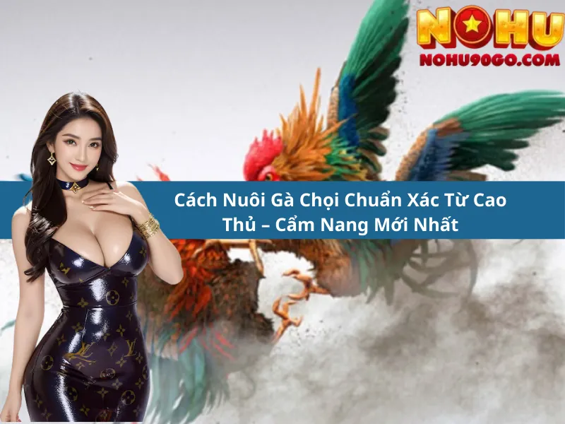 Cách Nuôi Gà Chọi Chuẩn Xác Từ Cao Thủ – Cẩm Nang Mới Nhất